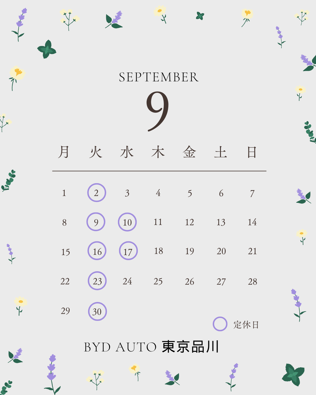 info