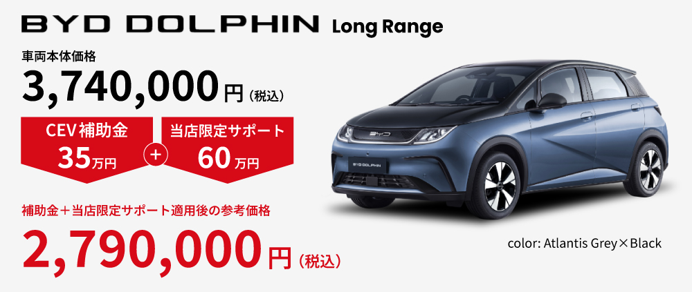 BYD DOLPHIN 補助金額