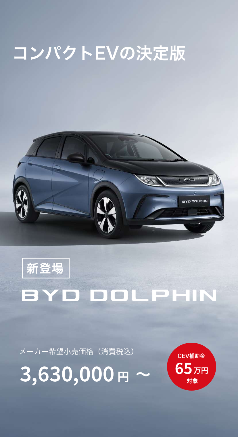 BYD DOLPHIN DEBUT! - BYD AUTO 国立